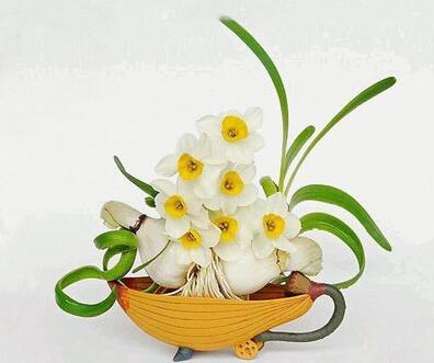 室內(nèi)租擺這些花卉對人體更有好處